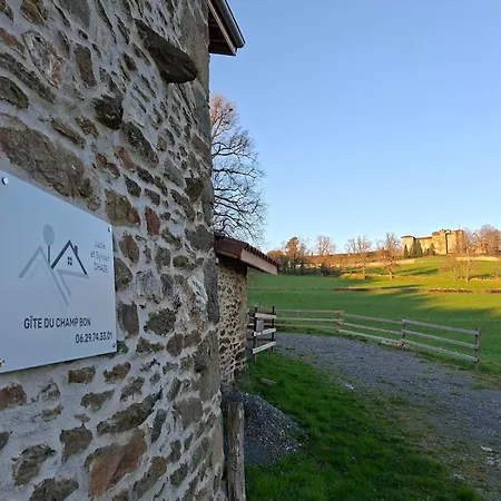 Du Champ Bon * Le Chambon-Feugerolles