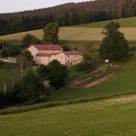 Du Champ Bon Le Chambon-Feugerolles